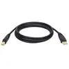 Tripp Lite 6ft USB Cable Hi-Speed Gold Shielded USB 2.0 A/B Male / Male 6' - câble USB - 1.8 m