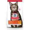15kg Adult poulet Hill's Feline Croquettes pour chat