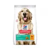 2x12kg Adult 1+ Perfect Weight Large poulet Hill's Science Plan - Croq...