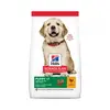 HILL'S Science Plan Large Puppy au Poulet - Croquettes pour chiot