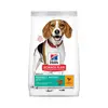 2kg Adult 1+ Perfect Weight Medium, poulet, Hill's Science Plan