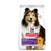 14kg Adult 1+ Sensitive Stomach & Skin Medium poulet Hill's Science Pl...