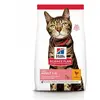 Hill's Science Plan Feline Adult avec Poulet Light 10 kg