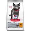 10kg Sterilised Kitten poulet Hill's Science Plan - Croquettes pour chat