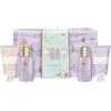 Set cadeau d'infusion de lavande et de cynorrhodon 4 pièces