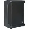 Peavey Solo Battery Powered PA