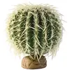 Exo Terra décoration cactus oursin