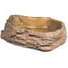 Exoterra Bol Reptile Modèle XL pour Reptiles et Amphibiens