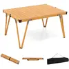 CostwayTable de Camping Pliante Grande Surface 93 x 69 cm Table de Piq...