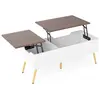 CostwayTable Basse Relevable Table Basse Moderne avec 2 Compartiments ...