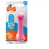 Jouet chien - Os à mâcher pour chiot Nylabone Rose - Taille XS