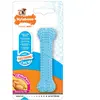 Jouet Os Nylabone Dental XS pour chiot - L 9,5 x l 3 x H 1,5 cm