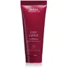 Aveda Color Control Conditioner Travel Size Soin capillaire 1000 ml