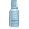 Aveda Smooth Infusion Shampooing anti-frisottis 50 ml