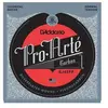 D'Addario And Co EJ45FF Pro Arte Fluorocarbon Tirant Normal