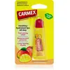 Carmex Peach Mango baume à lèvres en tube 10 g