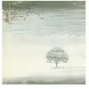 RHINO RECORDS Wind and wuthering