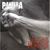 Rhino Vulgar Display Of Power