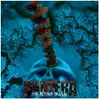 Atlantic Catalog Group Pantera - Far Beyond Driven (Reissue) (White & Blue Marbled) (LP)