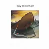 Soul cages (1991) [Vinyl LP]