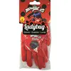 RUBIE'S Gants Ladybug pour fille à partir de 3 ans - Miraculous, les aventures de Ladybug et Chat Noir - Rouge