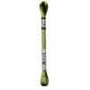 Non communiqué Fil à broder Mouliné Satin 8 mètres - DMC(...) - Vert (S472)