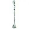 Non communiqué Fil à broder Mouliné Satin 8 mètres - DMC(...) - Vert (S504)