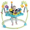 BABY EINSTEIN Ocean Explorers Curiosity Cove aire d'éveil éducative 2 ...