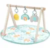 Ingenuity Tapis D'Eveil Sun Valley, Arche De Jeu En Bois - 3 Jouets Amovibles - Pliable