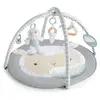 Baby Einstein INGENUITY Tapis deveil Sheppys SpotTM Plush Activity Gym - CorrieTM TU