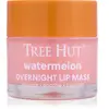 Tree Hut Watermelon Lip Mask masque de nuit lèvres 17 g