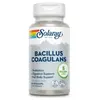 Solaray Casquettes Bacillus Coagulans Enzymes And Digestive Aids 60 Unités One Size