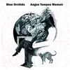 Tiny Global Productions Angus Tempus Memoir