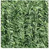JARDIéco Haie artificielle Deluxe 126 brins 18 m - 6 rouleaux 3 x 1,20 m -