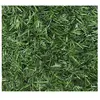 JARDIDECO Haie artificielle Super Deluxe 243 brins 6 m - 2 rouleaux 3 x 1,50 m -