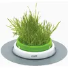 Jardin d'herbe à chat - CAT IT - Senses 2.0 - Vert - Intérieur - Petit