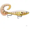 Leurre Hybride Rapala X-Rap Otus 17cm : couleur Rapala - PGG