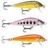 Kit Poisson Nageur Rapala 90 Years : Modèle - Floater Small Naturistic