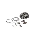 Briggs&Stratton Culasse