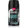 Axe  Coconut & Sandalwood spray corporel pour les parties intimes 100 ...