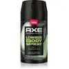 Axe Pear & Cedarwood spray corporel pour homme 100 ml