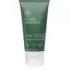 Paul Mitchell Tea Tree Lemon Sage Thickening Treatment cure capillaire...