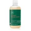 Paul Mitchell Tea Tree Special Color Conditioner après-shampoing trait...