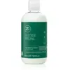 Paul Mitchell Tea Tree Special Conditioner conditionneur rafraîchissan...