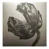 Warner Release