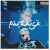 Paradise Hamza (Interprète) Vinyle album