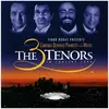 Warner Music The 3 Tenors in Concert 1994