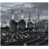 Import Animals (2018 Remix)