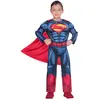 amscan 9906073 Déguisement officiel Warner Bros DC Comics pour enfant 10-12 ans