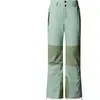 The North Face Pantalon Lenado Pour Femme Slate Moss-bark Mist Taille ...